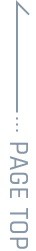 pagetop